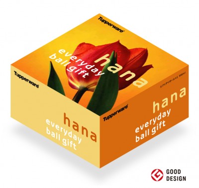 everyday-hana_3d2